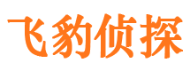 顺河市婚外情调查